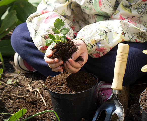 Conheça os benefícios de cultivar uma horta em casa | Blog Tip Top