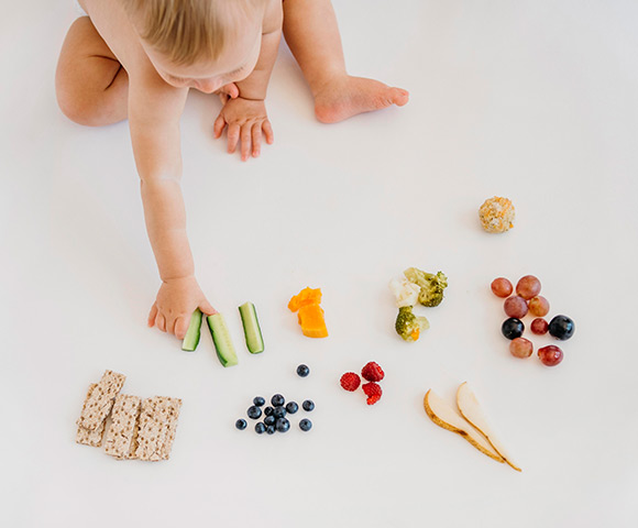 Tudo sobre introdução alimentar para bebês | Blog Tip Top